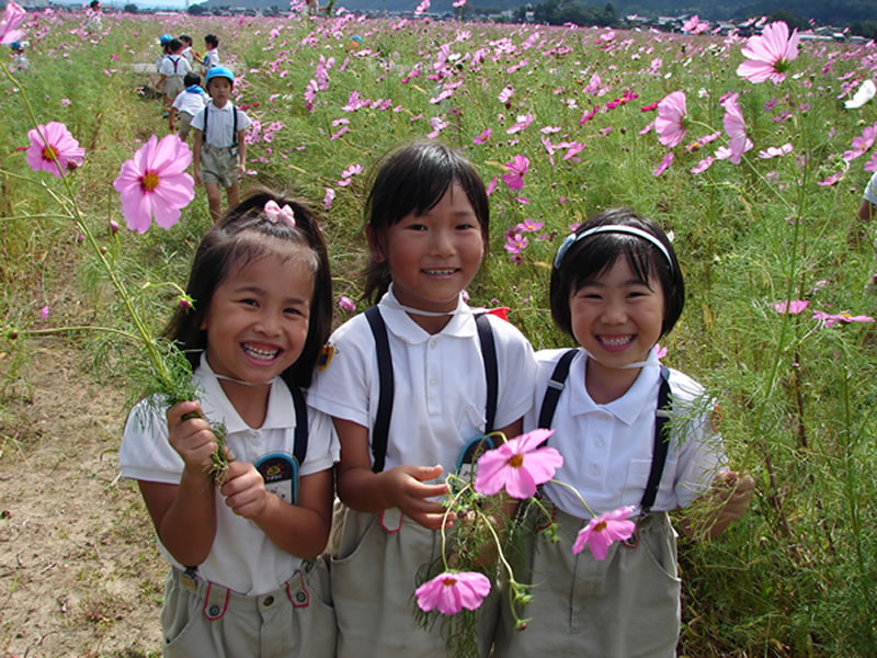 コスモス苑 見学