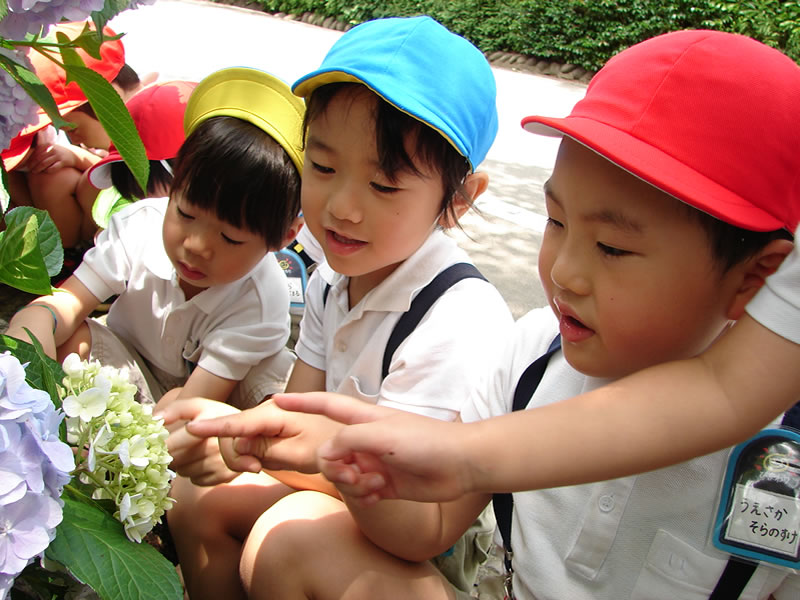 あじさい苑見学